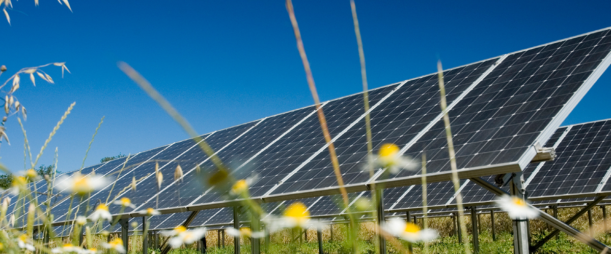 Off grid vs grid tied