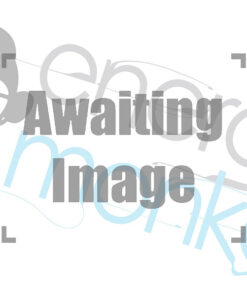 Energy Monkey Off Grid Camper Conversion Kit 800VA Multiplus 2.5kWh LiFePO4 Battery