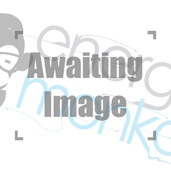 Awaiting product image